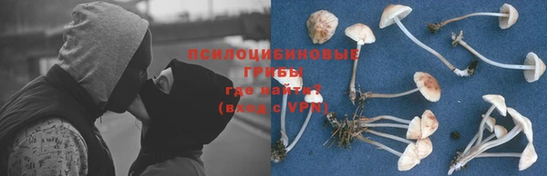 дурь Алзамай