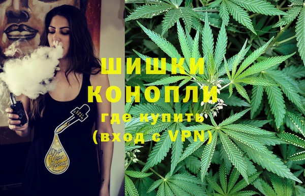 дурь Алзамай
