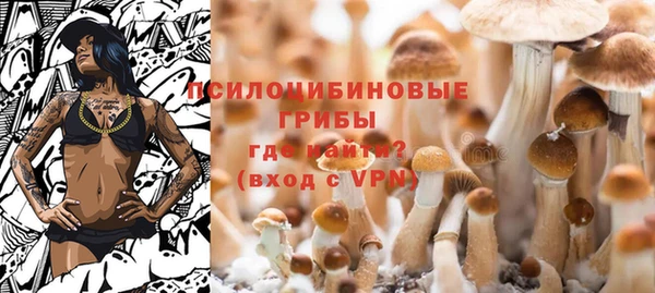 тгк Покров
