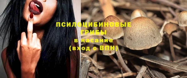 ГАЛЛЮЦИНОГЕННЫЕ ГРИБЫ Алексеевка