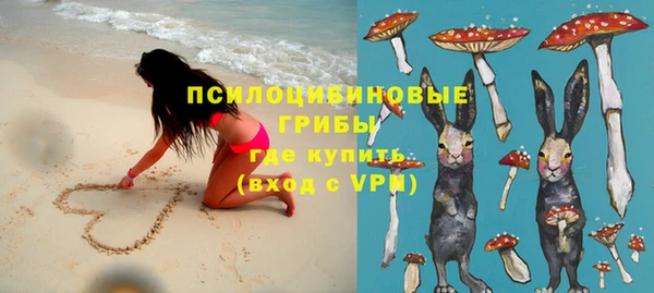 метадон Алексин