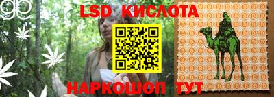 ПСИЛОЦИБИНОВЫЕ ГРИБЫ Краснознаменск