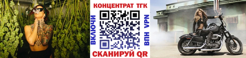 купить закладку  Курчалой  ссылка на мегу рабочий сайт  Дистиллят ТГК концентрат 