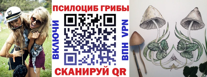 кракен рабочий сайт  Курчалой  Галлюциногенные грибы мицелий  закладки 