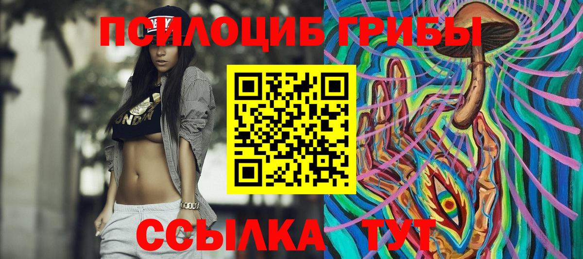 Курчалой  Галлюциногенные грибы GOLDEN TEACHER  Вход с VPN 