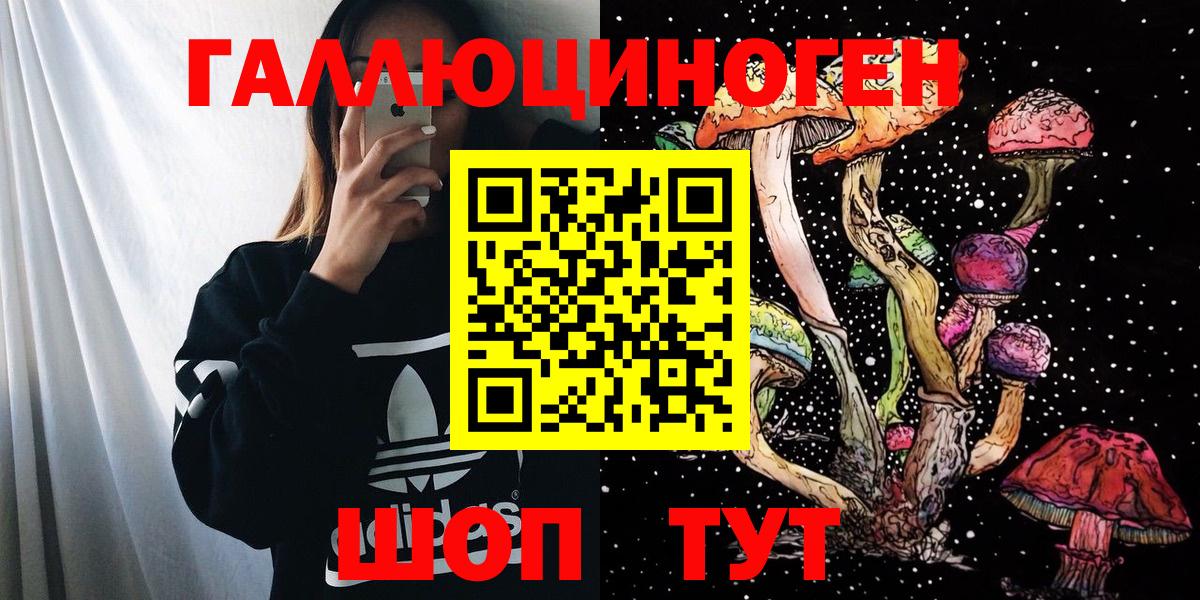 Псилоцибиновые грибы MAGIC MUSHROOMS Курчалой